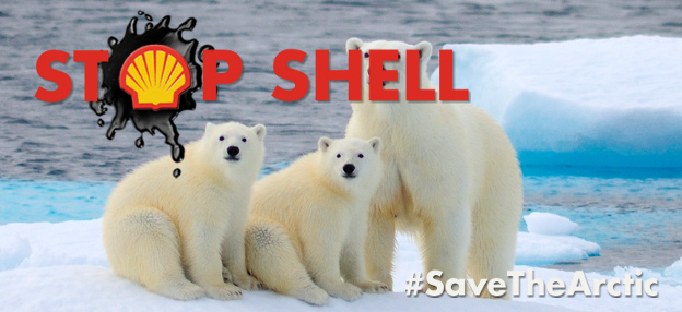 Get Shell Out of The&nbsp;Artic!