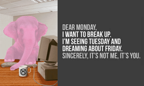 Some words from Pinky&nbsp;Elefant