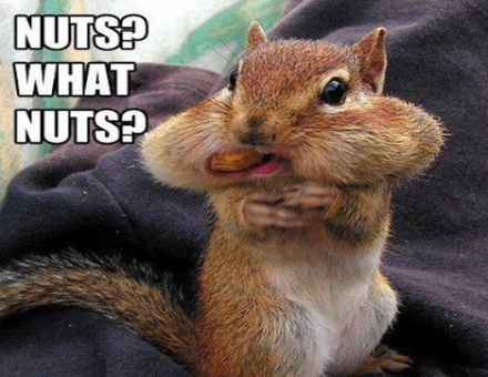 Hmmmm, Japanese nuts&nbsp;:P