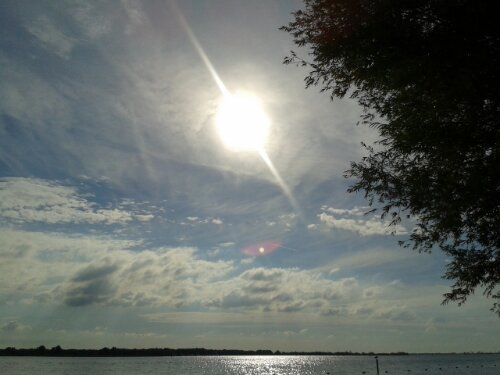 How I protect my&nbsp;smartphone