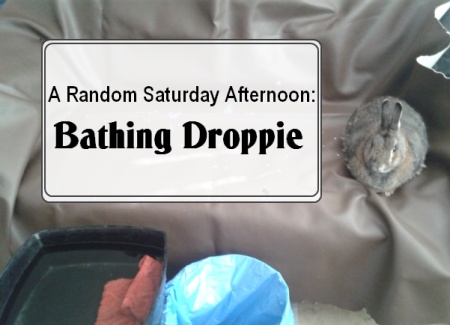 A random Saturday&nbsp;afternoon