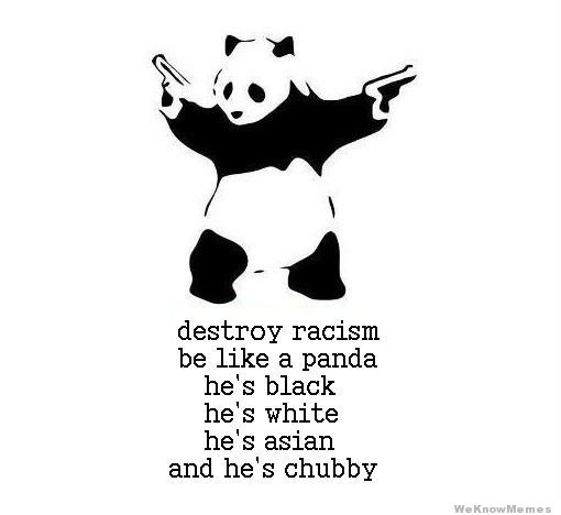 12-LEAD-destroy-racism-be-like-a-panda