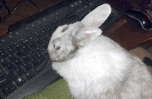 Youtube Awards on a lazy&nbsp;Sunday