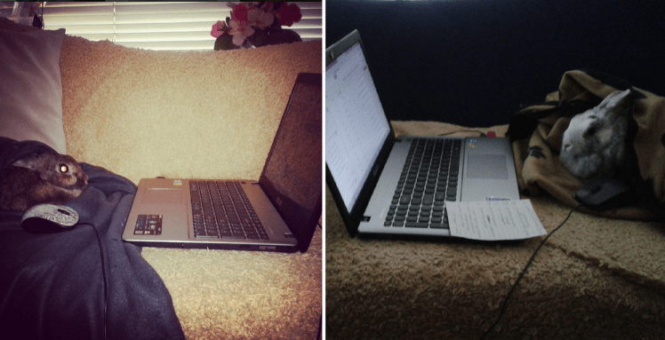 And then there was just&nbsp;one