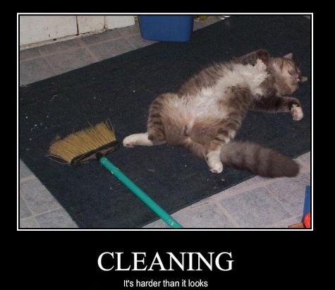 cleaning-fail-e1349708511494