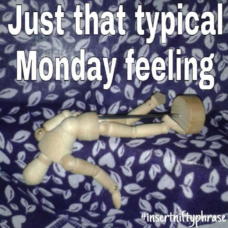 13714197_295293010829832_1775768428_n