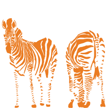 wall-decal-zebra-orange