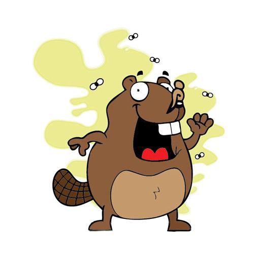 Blurts of memories:&nbsp;Stinky