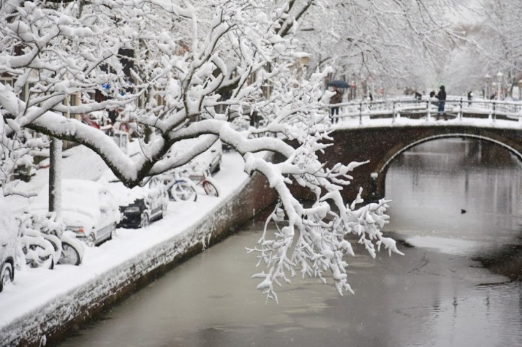 The joy of&nbsp;snow