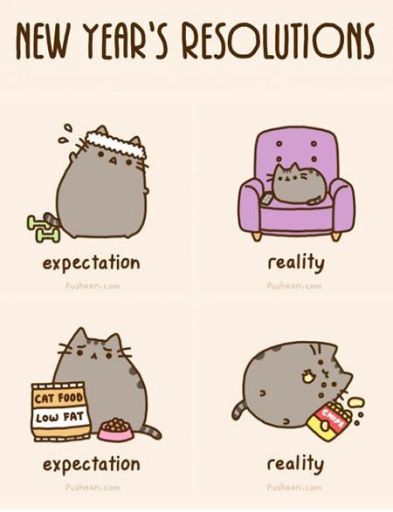 724e36cbc9270895dbb8c3d650d7654e-expectation-vs-reality-new-years-resolutions