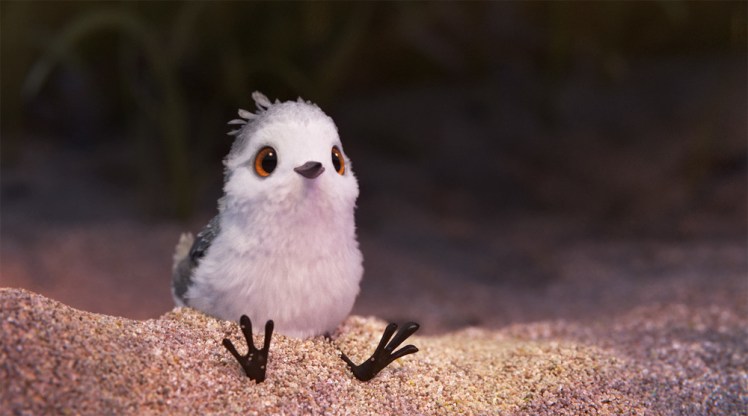 Awww, what a cute&nbsp;bird!